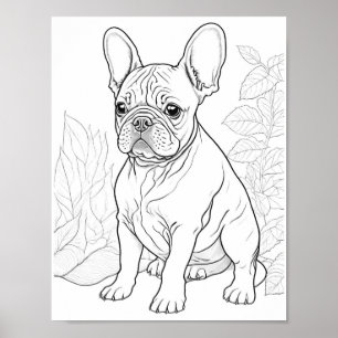 Franse Bulldog volwassen kleuring Poster