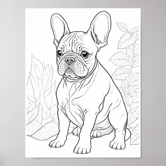 Franse Bulldog volwassen kleuring Poster (Voorkant)