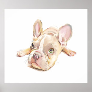 Franse Bulldog Watercolor Poster, Wandkunst  Poster