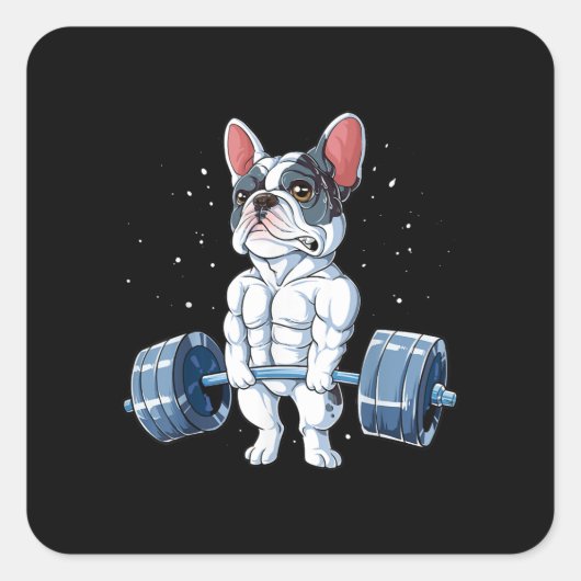 Franse Bulldog Weightlift Funny Deadlift Gym Vierkante Sticker (Voorkant)