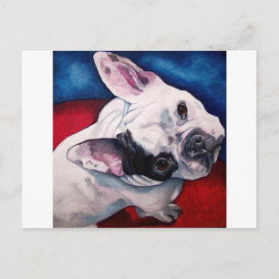 Franse Bulldog, White en Black Briefkaart