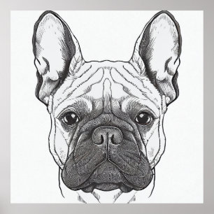 Franse Bulldog wilde Natuur dierenillustratie Poster