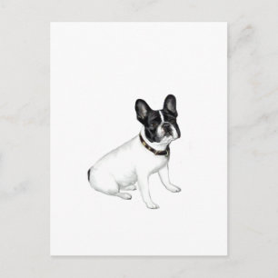 Franse Bulldog (wit met zwart) Briefkaart
