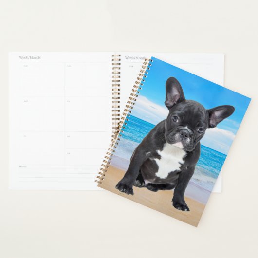 Franse Bulldog zit op het strand Planner (Display)