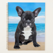 Franse Bulldog zit op het strand Planner (Voorkant)