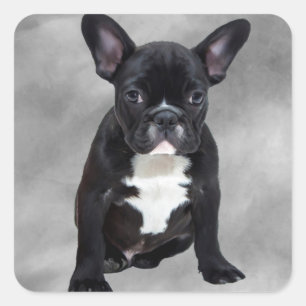 Franse Bulldog Zittend Aquarel Olie Schilderij Vierkante Sticker