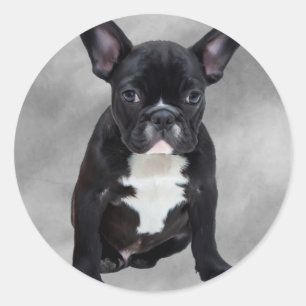 Franse Bulldog Zittende Waterverf Olie Schilderij Ronde Sticker