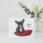 Franse Bulldog Zwarte Kussen Foto Bedankt Briefkaart (Staand voorkant)