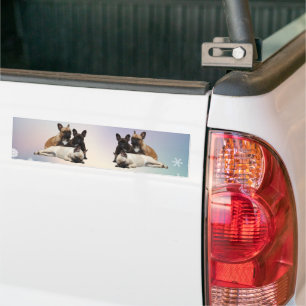 Franse Bulldoggen auto stickers