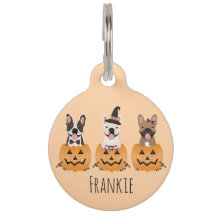 Franse Bulldoggen Trick Or Treat Pompoen