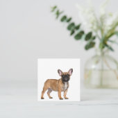 Franse Bulldoggen Zakelijk Visitekaartje (Staand voorkant)