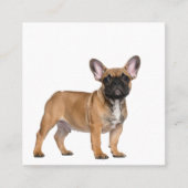 Franse Bulldoggen Zakelijk Visitekaartje (Voorkant)