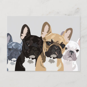 Franse Bulldogs   Cute Frenchie Bulldog Briefkaart