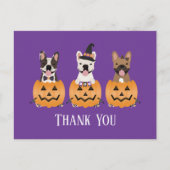 Franse Bulldogs Halloween Hartelijk dank Briefkaart (Voorkant)