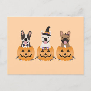 Franse Bulldogs Halloween Pumpkin Briefkaart