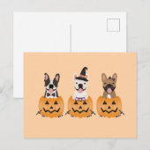 Franse Bulldogs Halloween Pumpkin Briefkaart (Voorkant / Achterkant)