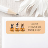 Franse Bulldogs Halloween Pumpkin Etiket (Insitu)