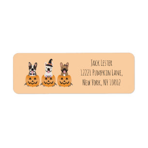 Franse Bulldogs Halloween Pumpkin Etiket