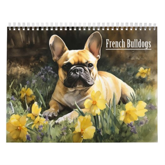 Franse Bulldogs Kalender, elk jaar Kalender (Hoes)