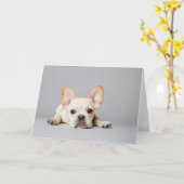 Franse bulledog kaart (Gele Bloem)