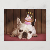 Franse bulledog met Birthday Cupcake Briefkaart (Voorkant)