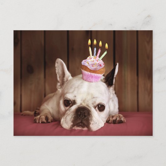 Franse bulledog met Birthday Cupcake Briefkaart (Voorkant)