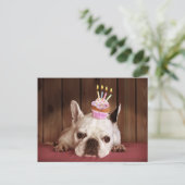 Franse bulledog met Birthday Cupcake Briefkaart (Staand voorkant)