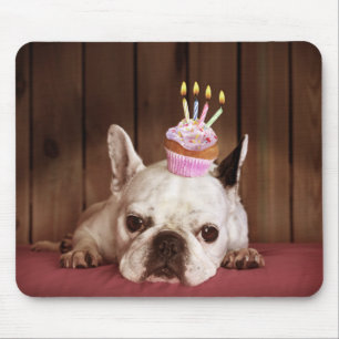 Franse bulledog met Birthday Cupcake Muismat