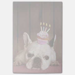 Franse bulledog met Birthday Cupcake Post-it® Notes