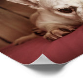 Franse bulledog met Birthday Cupcake Poster (Hoek)