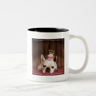 Franse bulledog met Birthday Cupcake Tweekleurige Koffiemok