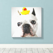 Franse bulledog met Rubber Duck Canvas Afdruk (Insitu (Houten vloer))