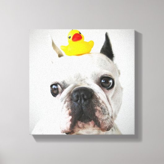 Franse bulledog met Rubber Duck Canvas Afdruk (Voorkant)