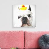 Franse bulledog met Rubber Duck Canvas Afdruk (Insitu (Woonkamer))