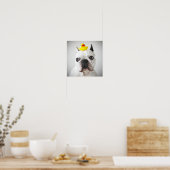 Franse bulledog met Rubber Duck Poster (Keuken)