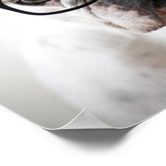 Franse bulledog met zwarte oogbril poster (Hoek)