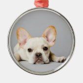 Franse bulledog neerleggend metalen ornament (Voorkant)