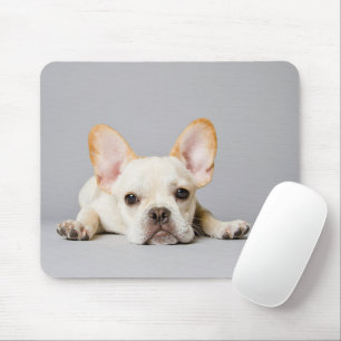 Franse bulledog neerleggend muismat