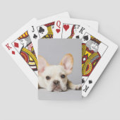 Franse bulledog neerleggend pokerkaarten (Achterkant)