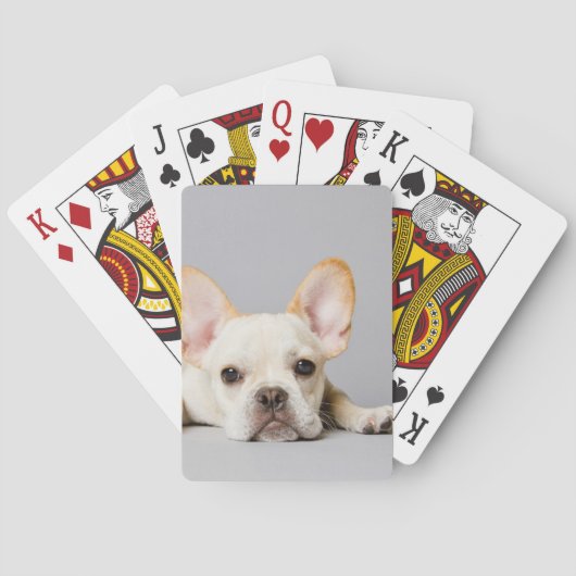 Franse bulledog neerleggend pokerkaarten (Achterkant)