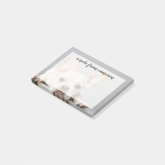 Franse bulledog neerleggend post-it® notes (Schuin)