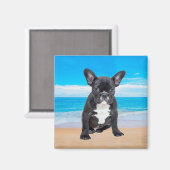Franse bulledog op strand magneet (Voorkant / Achterkant)