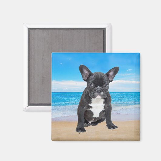Franse bulledog op strand magneet (Voorkant / Achterkant)