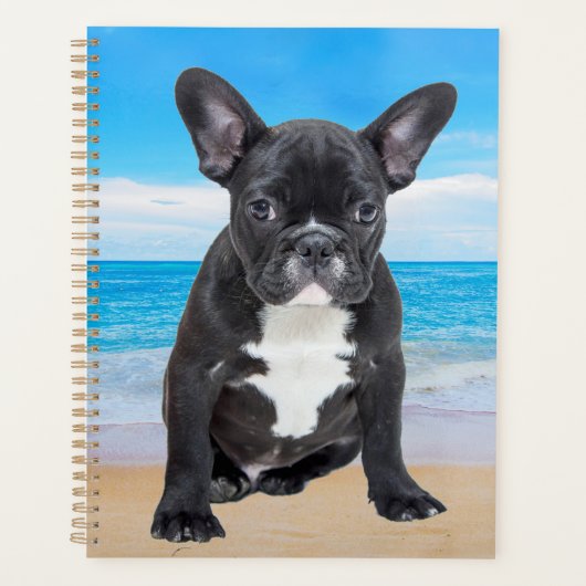 Franse bulledog op strand planner (Voorkant)