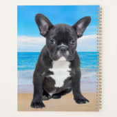 Franse bulledog op strand planner (Achterkant)