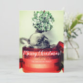 Franse bulledog-puppy in Gift box met mistletoe Feestdagenkaart (Staand voorkant)