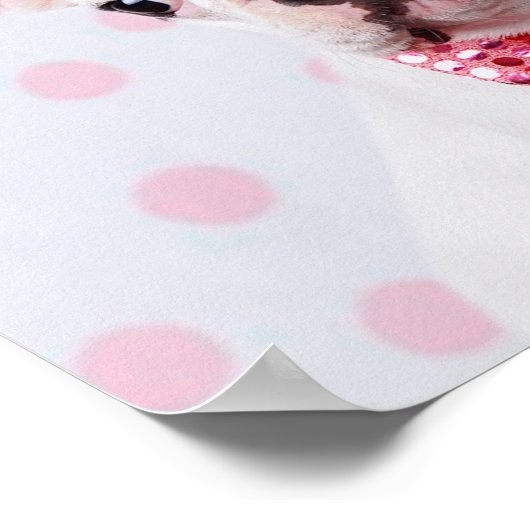 Franse bulledog-puppy met pooldots poster (Hoek)