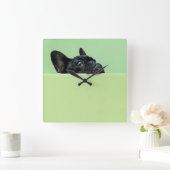 Franse bulledog puppy peering over de muur vierkante klok (Huis)