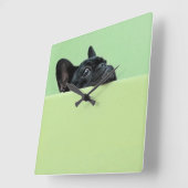 Franse bulledog puppy peering over de muur vierkante klok (Hoek)