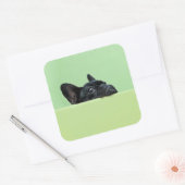 Franse bulledog puppy peering over de muur vierkante sticker (Envelop)